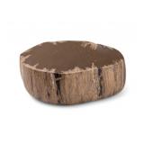 Polished Petrified Wood Paperweight