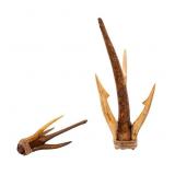Inuit Inupiat Yupik Arctic Cod Hook Artifacts (2)