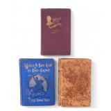 19th C. Gazetteer, Lincoln, & What A Boy Saw Books