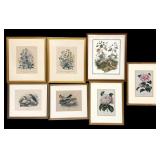 Seven Botanical, Floral & Bird Prints Philadelphia