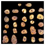Rough Amber Chunks / Beads Grouping
