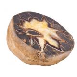 Septarian Nodule (Calcite) / Dragon Stone