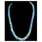Vintage Turquoise Shell Necklace