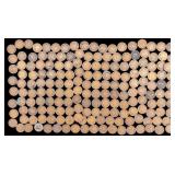 Indian Head Pennies (178)