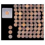 Indian Head Pennies (74)