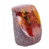 Cicada in Amber, Reconstituted