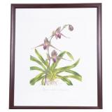 Carol Woodin (Am. 20th C) Framed Botanical Print
