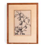 Jimson Weed by Bertha E. Jaques (Am. 1863-1941)