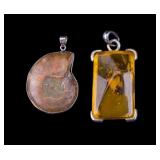 Sterling Silver Fossil & Amber Pendant