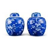 Pair of Chinese Porcelain Ginger Jars