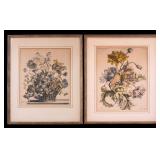 Antique Hand Colored Botanical Etchings (2)