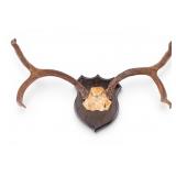 Vintage 4-Point Antler Mount