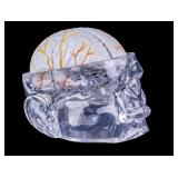 Seroquel Advertising Brain Display Model