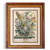 Framed Botanical Engraving, August