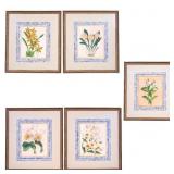 Set of 5 J. Nugent Fitch Botanical Lithographs