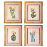 Jardin Exotique de Monaco Botanical Prints