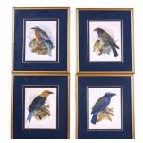 4 Signed Bird Lithographs