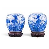 Pair of Chinese Blue and White Ginger Jars
