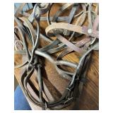 Grazing Horse bit and leather