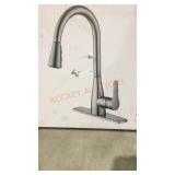 Project Source Pull-Down Kitchen Faucet
