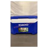 Igloo Cooler