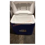 Igloo 30 quart Cooler