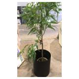 Threshold Faux Eucalyptus Tree, 6