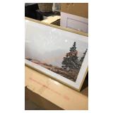 Threshold Framed Picture