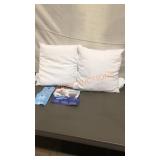 Milliard Couch Pillow Inserts Set of 2