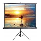100" Indoor Outdoor Projector Screen