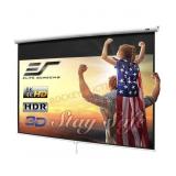 100" Manual Pull Down Projector Screen