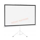 Projector Screen with Stand