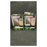 Pair Landscape Path Lights