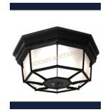 Secure home motion activated light fixture, sold