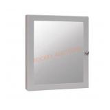 Style Selections Medicine Cabinet