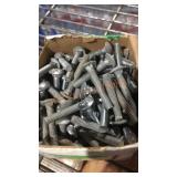 Carriage Bolts