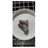 Container of Hex Bolts