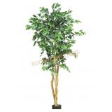 Ficus Artificial Tree with Curved Trunk, 5-Feet,