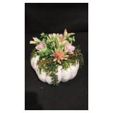 Pumpkin Terrarium