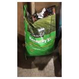 Pennington Kentucky 31 Grass Seed