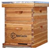 Bee Castle Bee Hive
