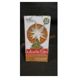 12" Illuminated Moravian Star