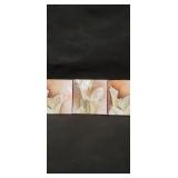 Set of 3 Calla Lily Wall Art