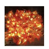 Maple leaves LED Garland (2)
