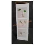 Ivolador Geometric Glass Hanging Planter