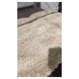 Area Rug