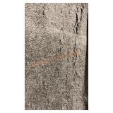 Shag Area Rug