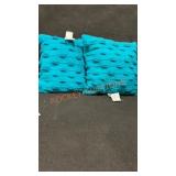 Allen + Roth Accent Pillows