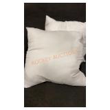 Two Throw Pillows