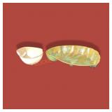 Pair Frankoma Pottery Decorative Pcs